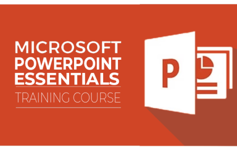 PowerPoint 2016 Essentials